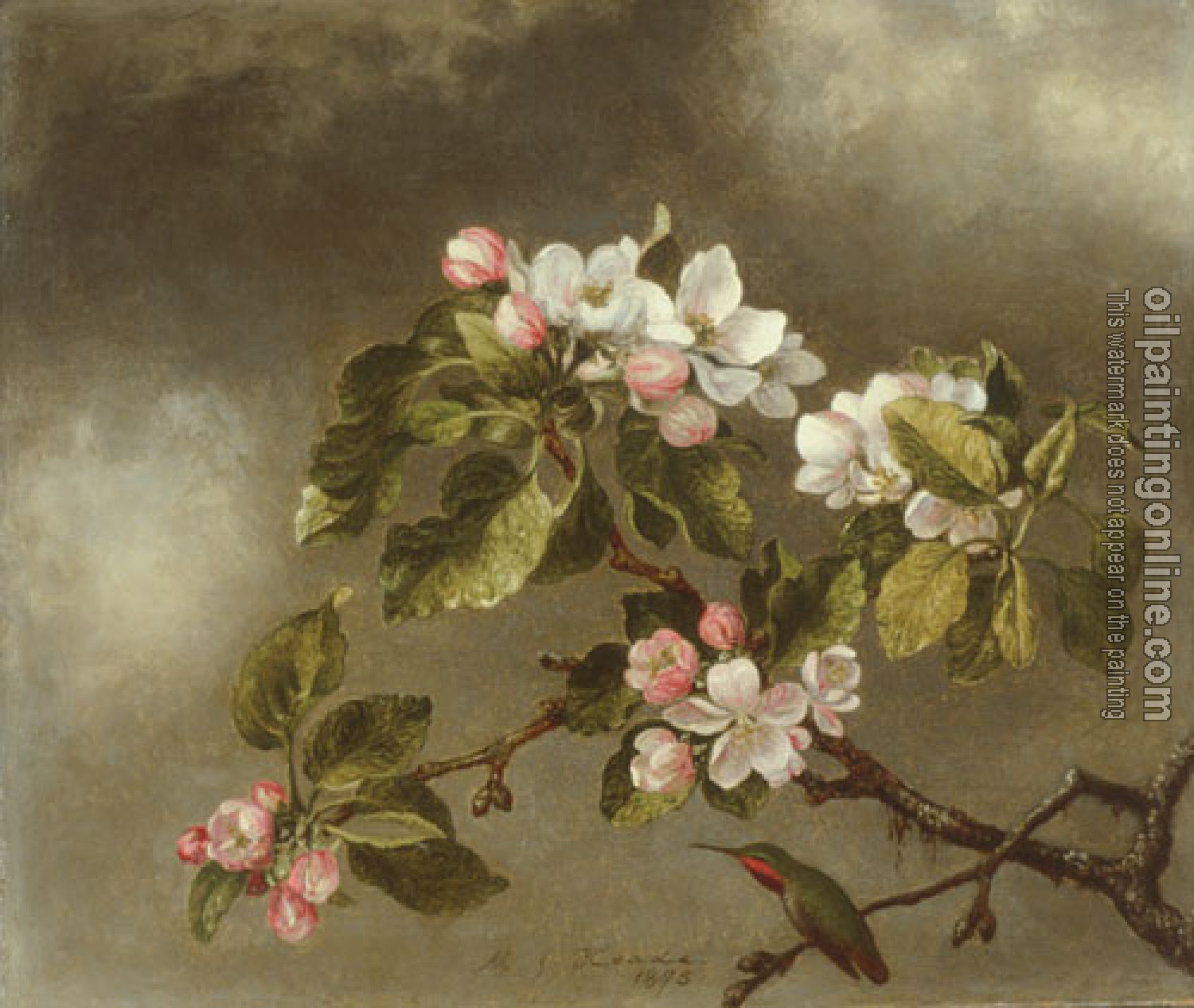 Heade, Martin Johnson - Hummingbird And Apple Blossoms